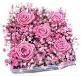 Pink Roses with Gypsophila Box