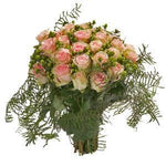 Pink Rosiness