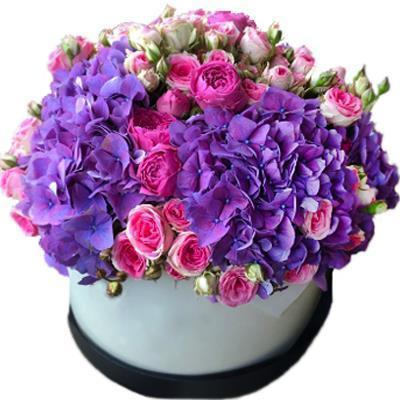 Pink Spray Roses and Purple Hydrangea Box