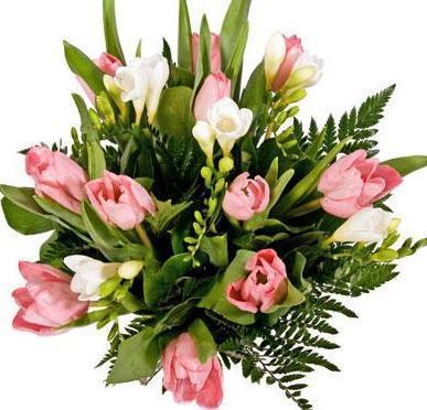 Pink Tulips & Freesias