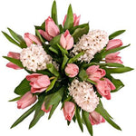 Pink Tulips with Hyacinth