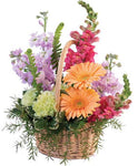 Pleasant Flowers in Basket