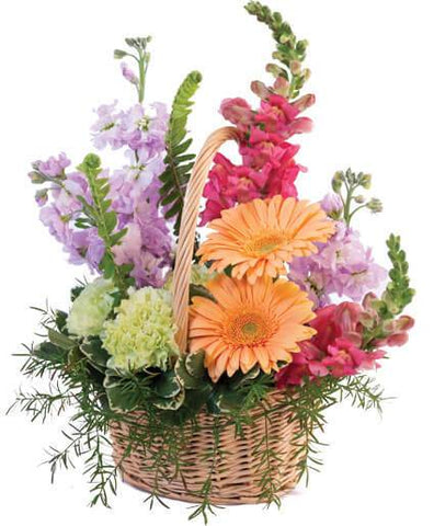 Pleasant Flowers in Basket - Flowers Box London