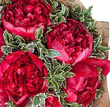 Premium Red Peonies Bouquet