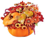Pumpkin and Hearts