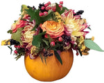 Pumpkin Berry Arrangement - Flowers Box London