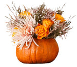 Pumpkin Orange Arrangement