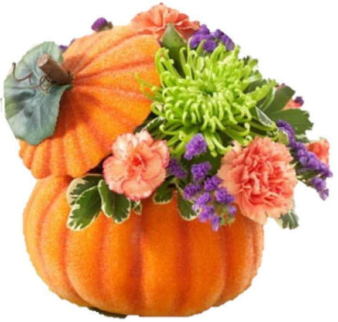 Pumpkin Twist Arrangement - Flowers Box London