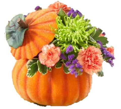 Pumpkin Twist Arrangement