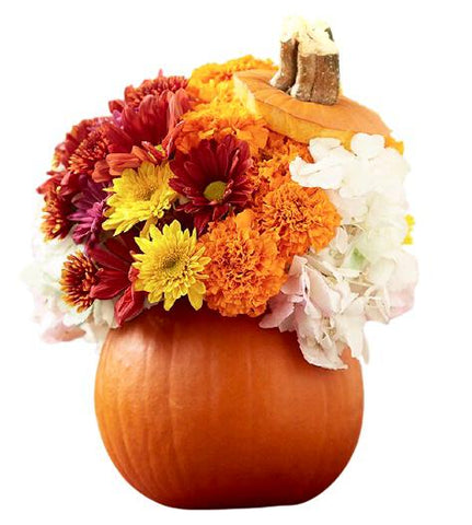 Pumpkin with Hydrangea