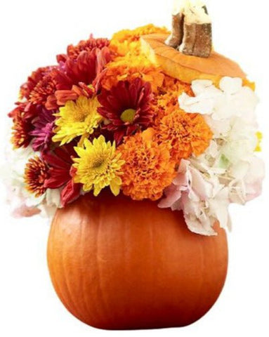 Pumpkin with Hydrangea and Chrysanthemu - Flowers Box London