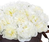 Pure White Peonies Hat Box