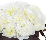 Pure White Peonies Luxury Box - Flowers Box London