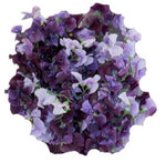 Purple and Lavender Sweet Pea Bouquet