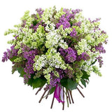 Purple and White Lilac Bouquet - Flowers Box London