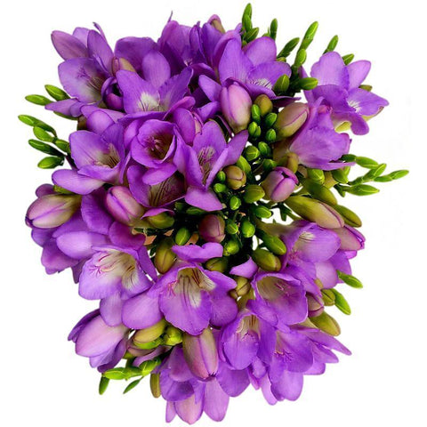 Purple Freesias Bouquet
