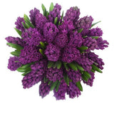 Purple Hyacinth Bouquet - Flowers Box London