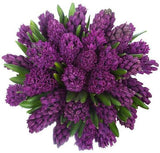 Purple Hyacinth Bouquet - Flowers Box London