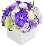 Purple Vanda and Lisianthus Signature Box