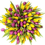 Purple & Yellow Tulips Bouquet - Flowers Box London
