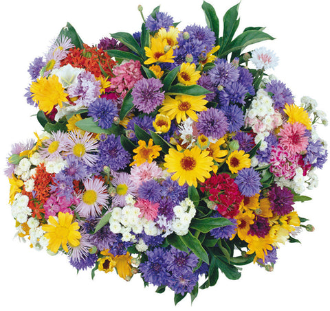 Rainbow Bouquets with Cornflowers Bouquet