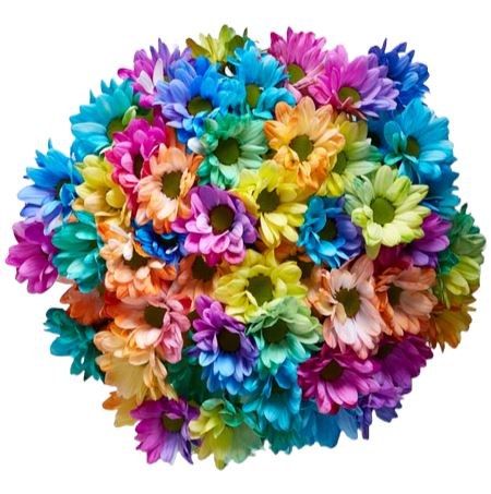Rainbow Chrysanthemum Bouquet
