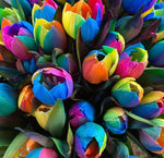 Rainbow Tulips Bouquet