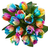 Rainbow Tulips Bouquet