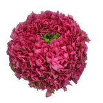 Ranunculus Pon Pon - Flowers Box London