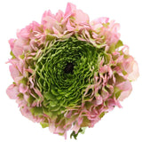 Ranunculus Pon Pon - Flowers Box London