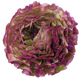 Ranunculus Pon Pon - Flowers Box London