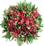 Red Alstroemeria Bouquet - Flowers Box London