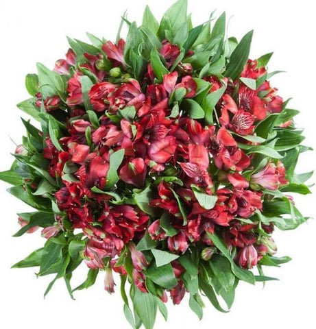 Red Alstroemeria Bouquet