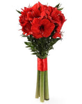 Red Amaryllis Bouquet