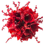 Red Amaryllis with Ilex Bouquet - Flowers Box London
