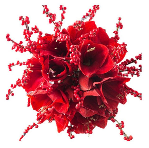 Red Amaryllis with Ilex Bouquet - Flowers Box London