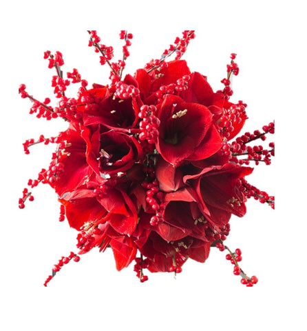 Red Amaryllis with Ilex Bouquet