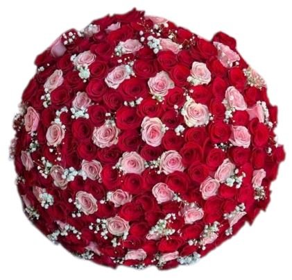 Red and Pink Roses with Gypsophila Bouquet - Flowers Box London