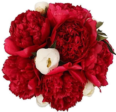 Red and White Peonies Bouquet
