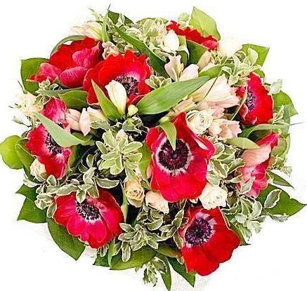 Red Beautiful Anemone Bouquet - Flowers Box London