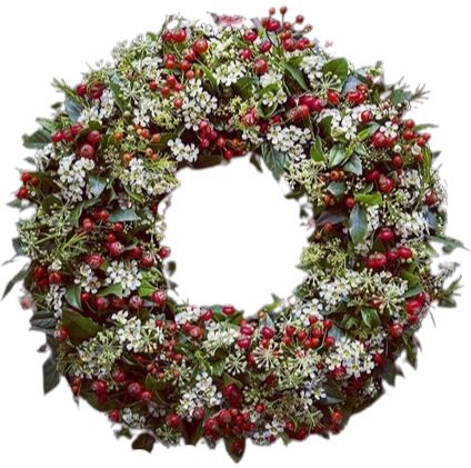 Red Berry and Wax Flowers Wreath