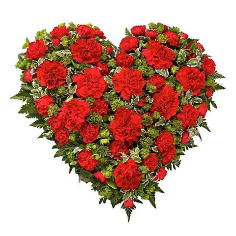 Red Carnations & Buphleurum Heart - Flowers Box London
