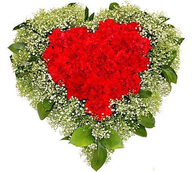 Red Carnations & Gypsophila Heart - Flowers Box London