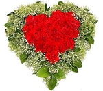 Red Carnations & Gypsophila Heart