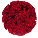 Red Carnations Hat Box