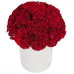 Red Carnations Hat Box