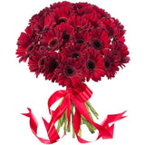 Red Gerber Bouquet