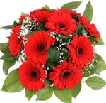 Red Gerber with Gypsophila