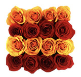 Red & Orange Roses Signature Box - Flowers Box London