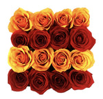 Red & Orange Roses Signature Box